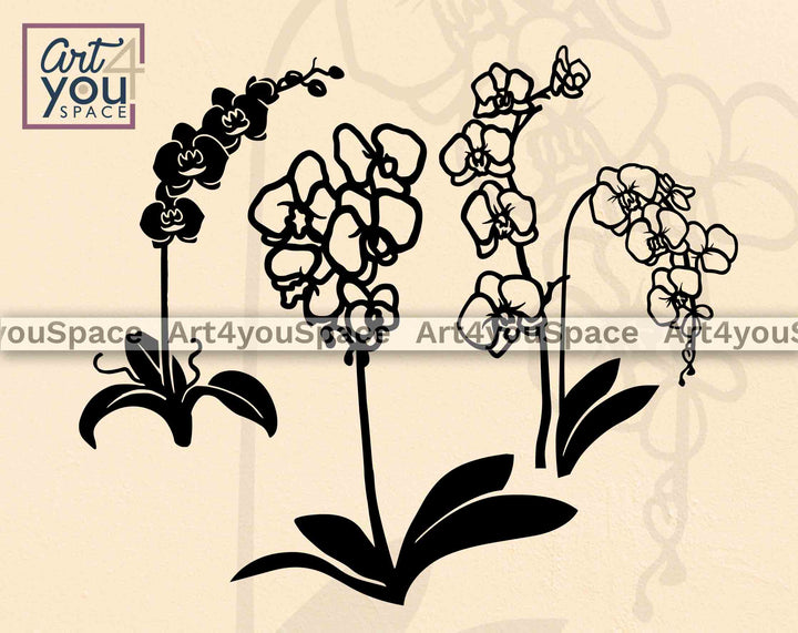 archid flower svg