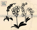 archid flower svg