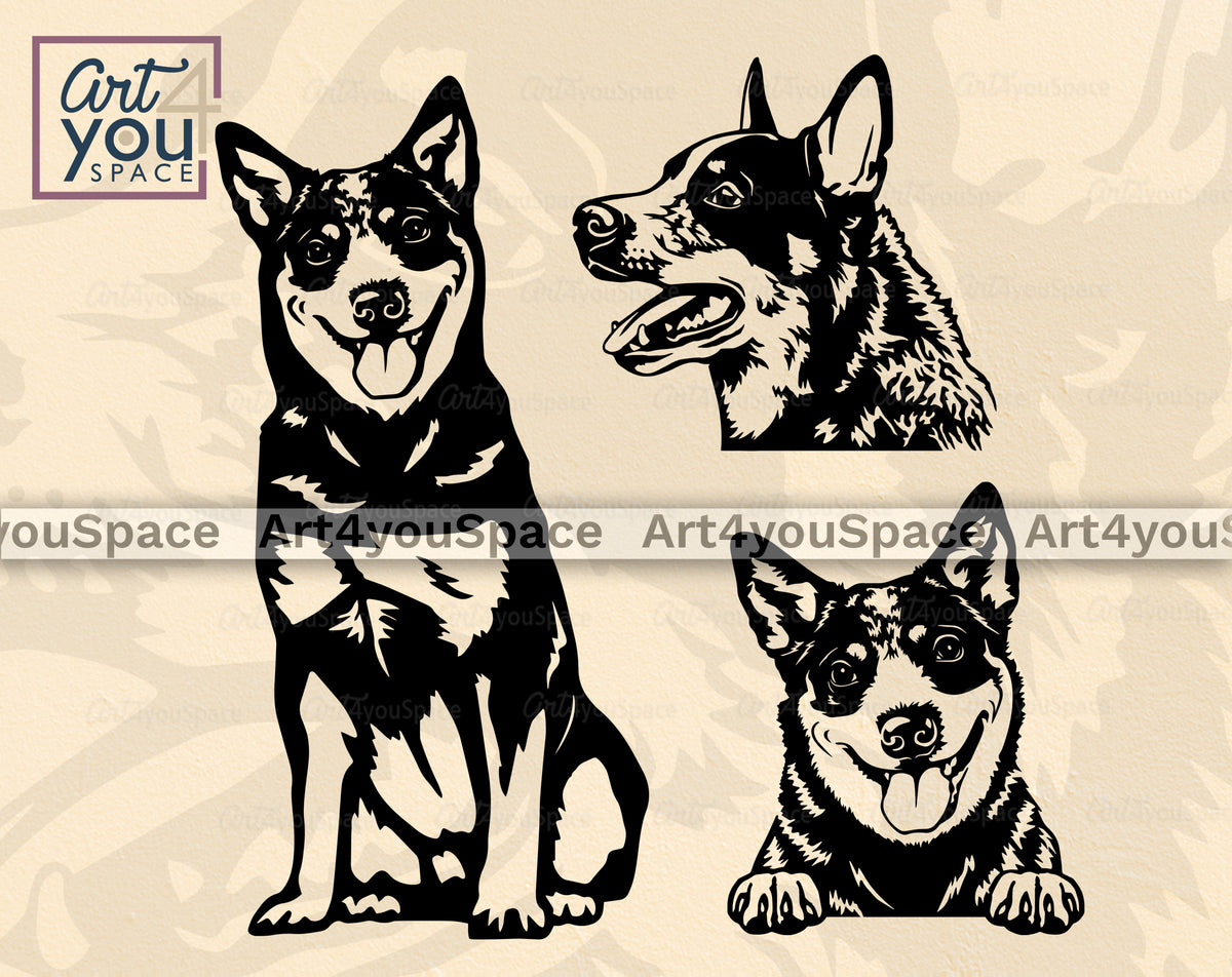 Australian cattle dog outlet great dane mix