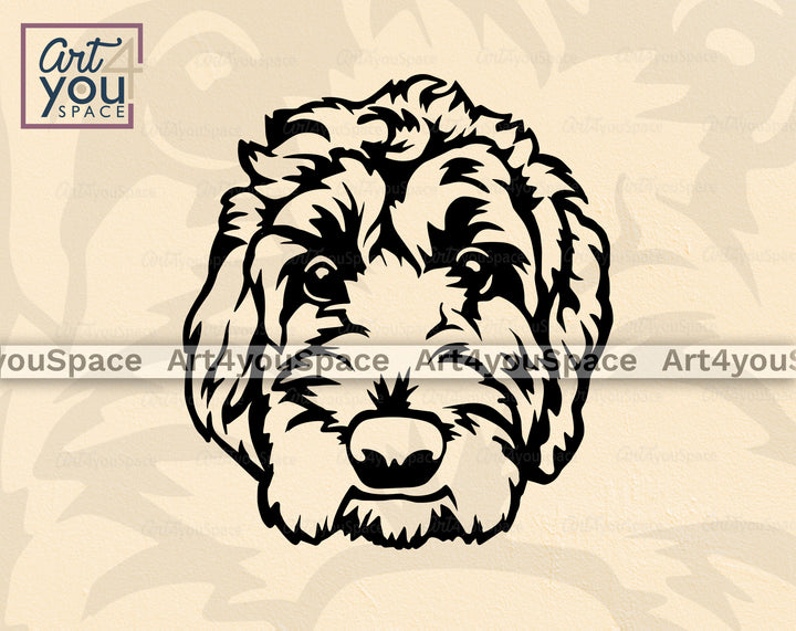 Cockapoo