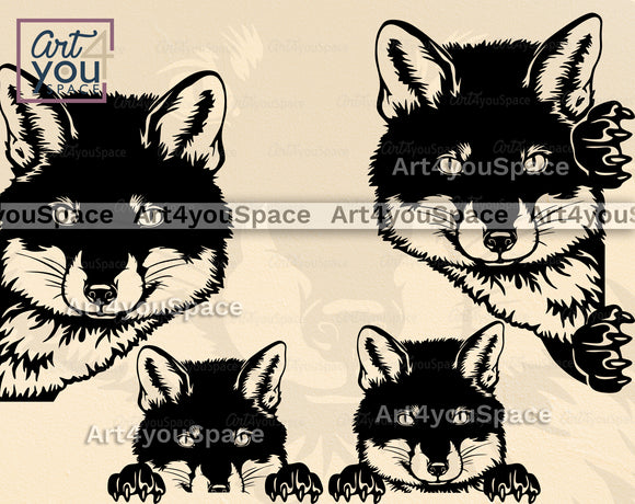 Curious Fox SVG