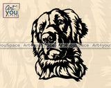 Golden Retriever Vector