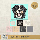 3D Bernese Mountain  SVG Multilayer Dog
