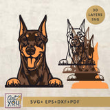 3D Doberman  Multilayered Dog svg