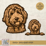 3D Labradoodle Svg