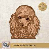 3D Poodle Svg