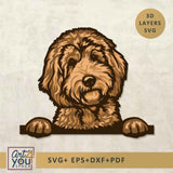 3d design of Labradoodle