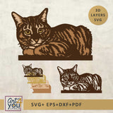 3d design tabby cat 