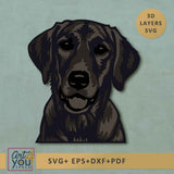 3d svg design of Labrador Retriever