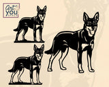 Australian Kelpie Dog  Plasma DXF files