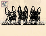 Belgian Malinois Peeking Dog Svg
