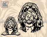 Bernedoodle Dog svg