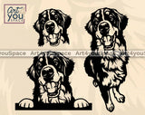 Bernese Mountain Dog svg
