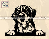 Bernese Mountain Peeking Face svg