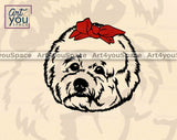 Bichon Frise with bandana png