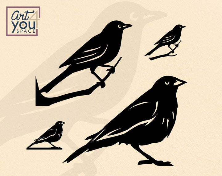 Blackbird svg