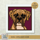 Boxer dog shadow box
