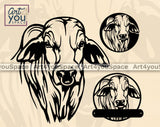 Brahman Cow svg