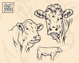 Charolais SVG 