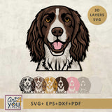 English Springer Spaniel Multilayer Dog SVG