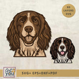 English Springer Spaniel svg