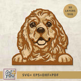 3D American Cocker Spaniel SVG