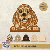 3d design  American Cocker Spaniel