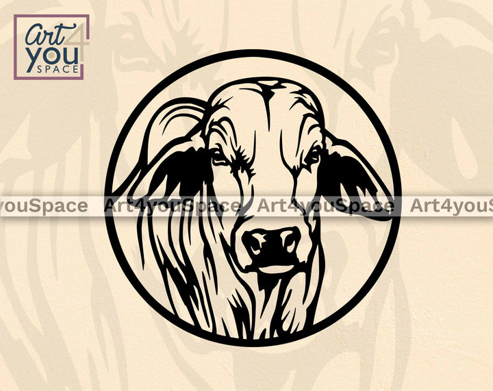 australian cattle svg