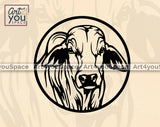 australian cattle svg
