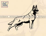 belgian malinois standing svg