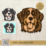 bernese mountine dog svg multilayer
