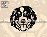 Bernese Mountain Puppy face black and white vector image