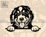 Bernese Mountain Puppy peeking pose svg