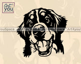 bernese portrait png