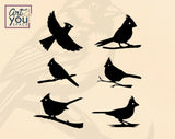 bird vector