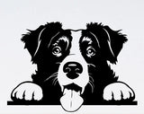 cute border collie peeking dog svg