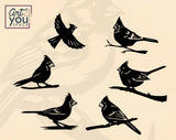 cardinal graphics svg