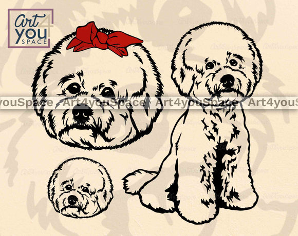 cute Bichon Frise SVG Cut File