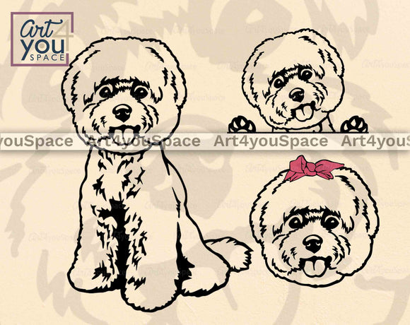 Bichon Frise  set svg 