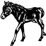 Personal order for Hetty