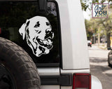 white svg labrador retriever