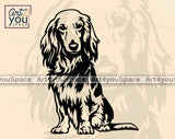 Longhaired doxie sitting pose svg