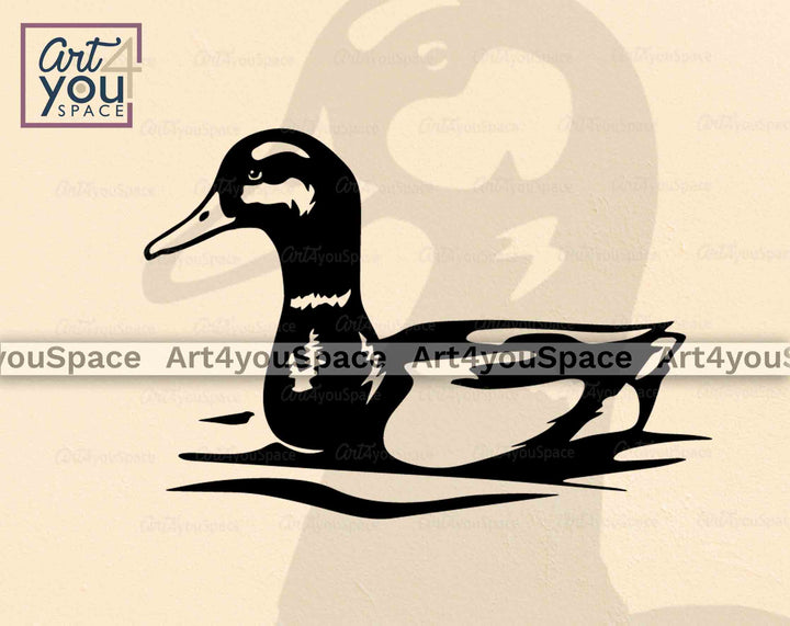 swimming mallard duck male svg