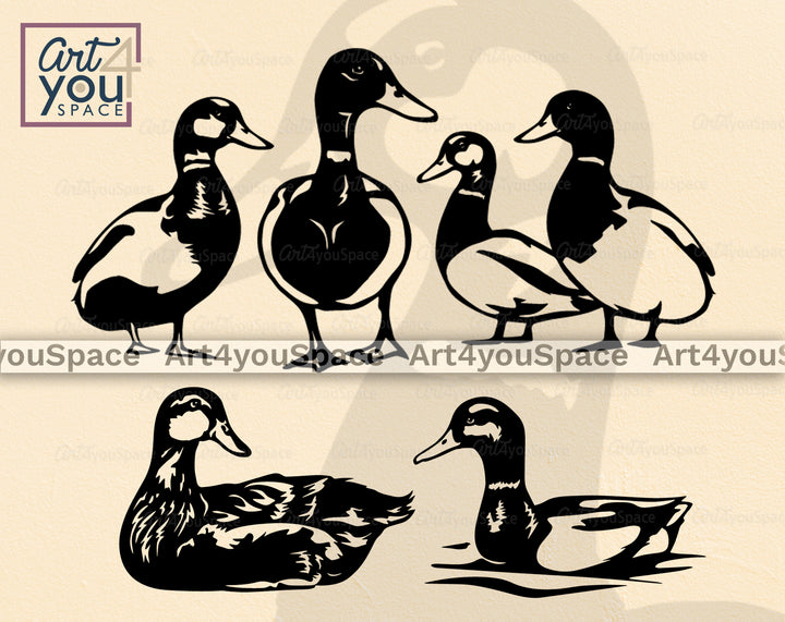 mallard duck svg set