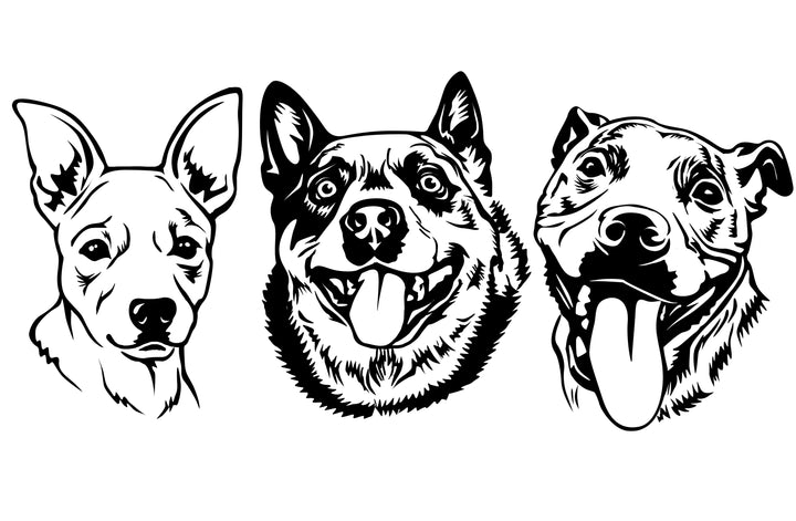 Personal order for Kym Neven