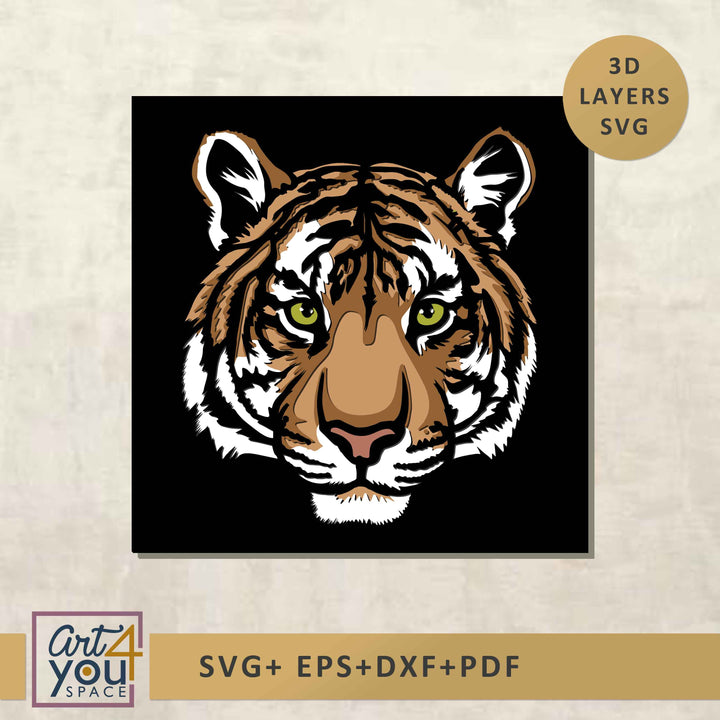 tiger shadow box