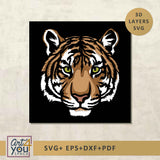 tiger shadow box