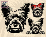 yorkshire terrier dog face black and white vector image
