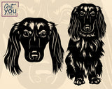  Longhaired Doxie SVG