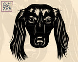  Longhaired Doxie Vector